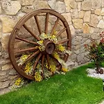 Tinao De Gredos