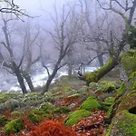Tinao De Gredos Holiday home