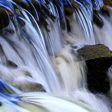 Tinao De Gredos *