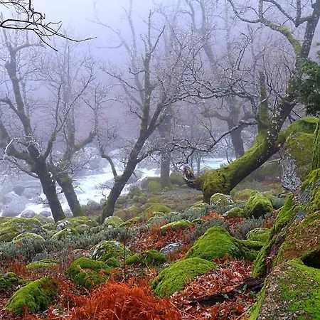 Tinao De Gredos Nyaraló