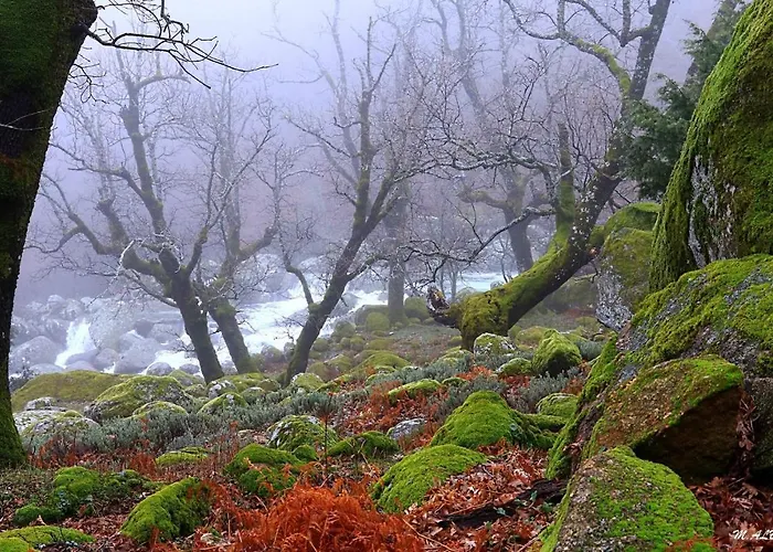Tinao De Gredos Сasa de vacaciones